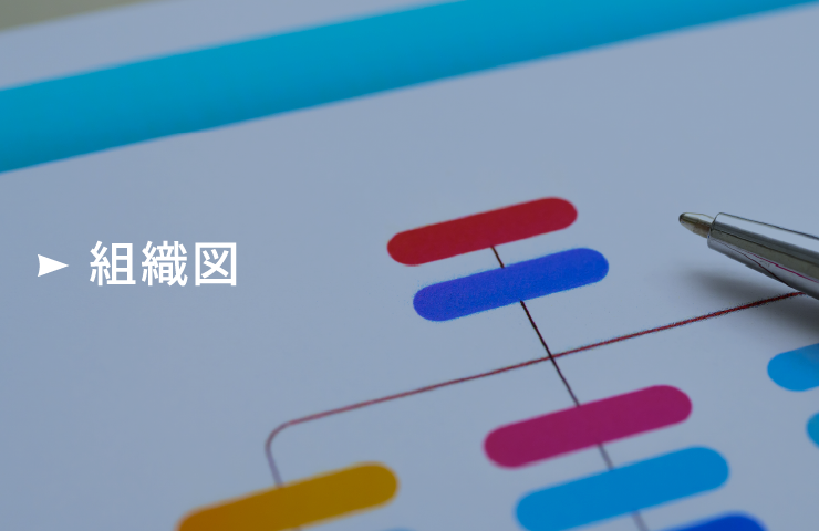 組織図